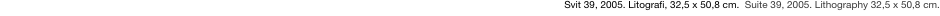 Svit 39, 2005. Litografi, 32,5